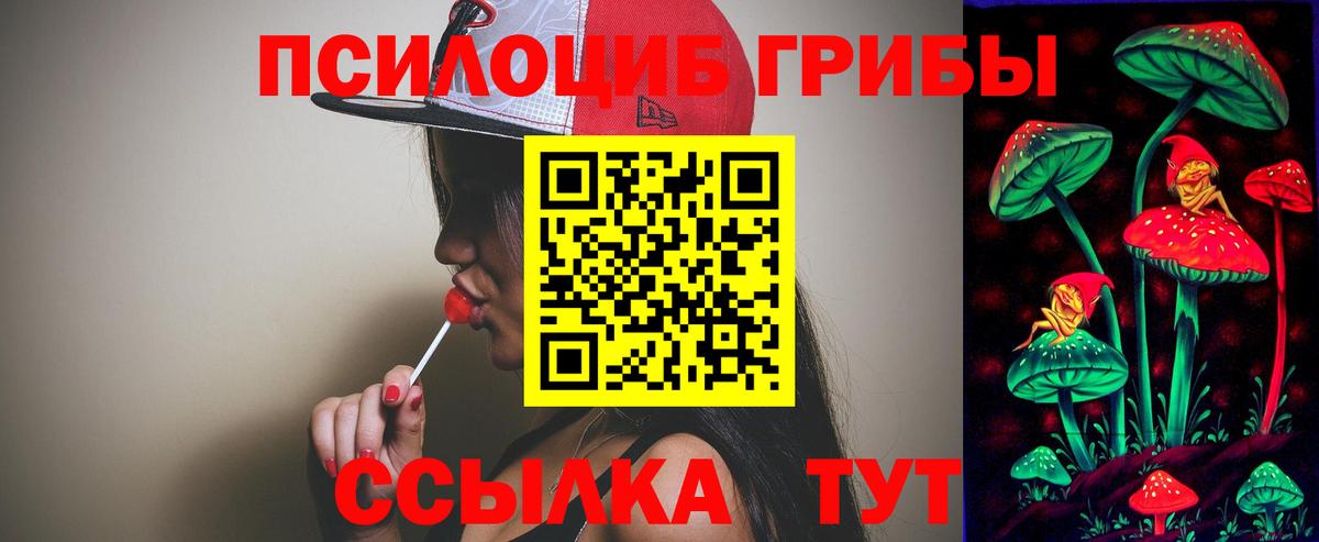 Александров  Галлюциногенные грибы мухоморы  Вход с VPN 