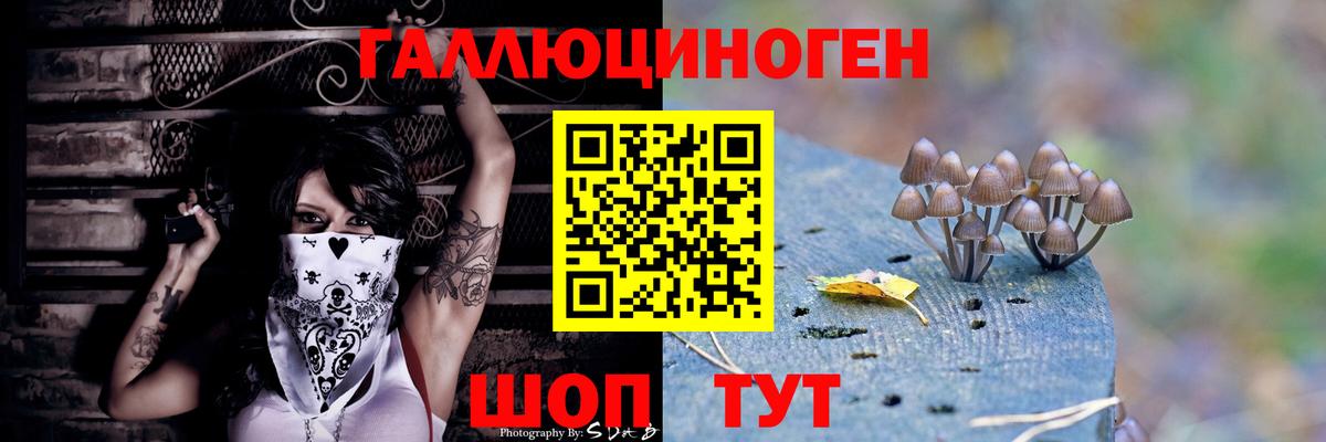 Галлюциногенные грибы Psilocybine cubensis Александров